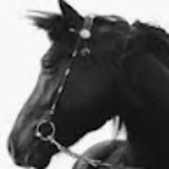 Meet your Posher, Jessica - Picture 1 of 1